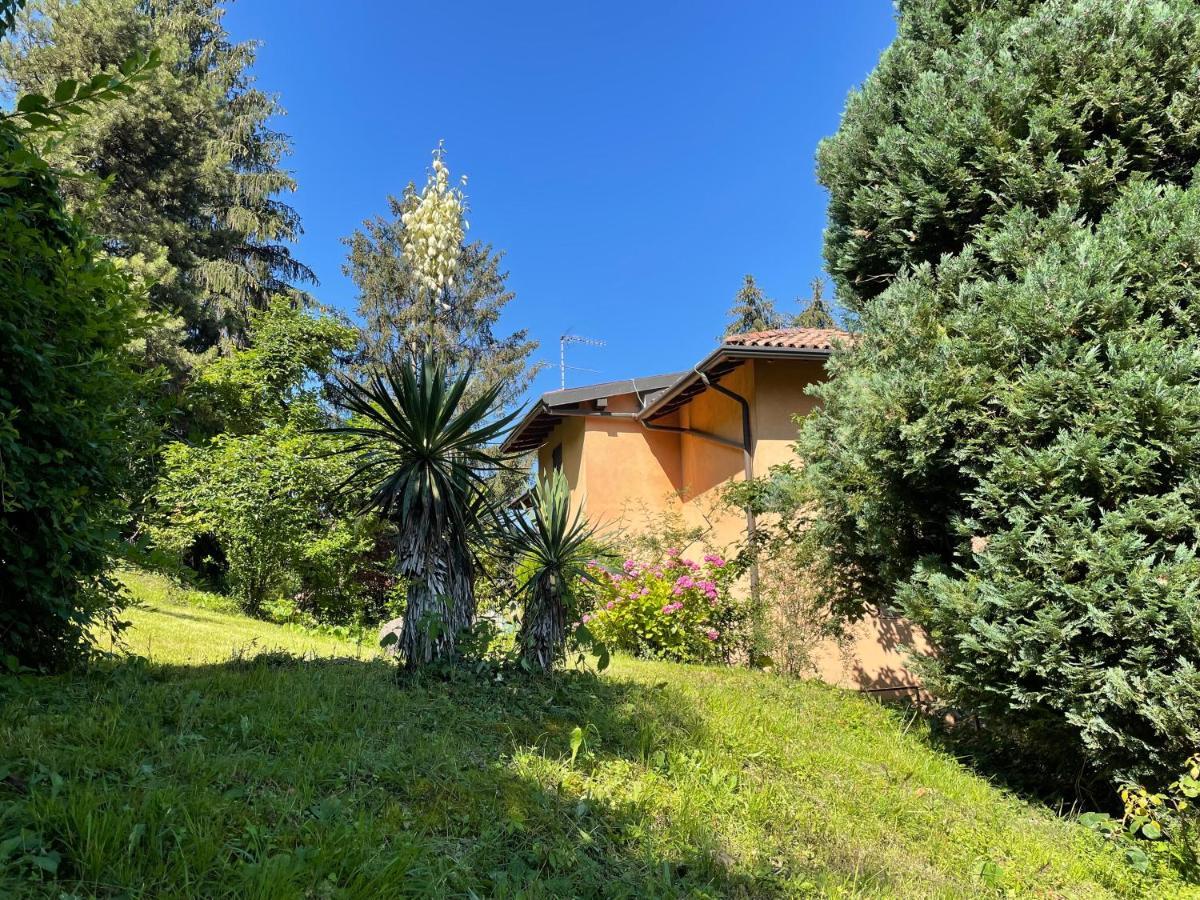 Appartamento Lake View Di Villa Giuliana Sulzano Dış mekan fotoğraf